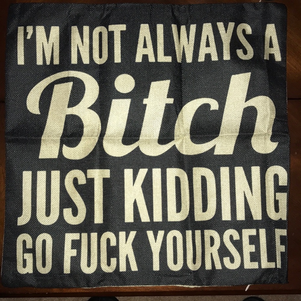 Decorative/Funny Pillowcase. NWOT